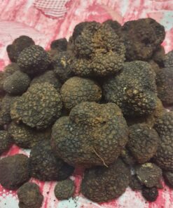 Tartufo nero di Bagnoli